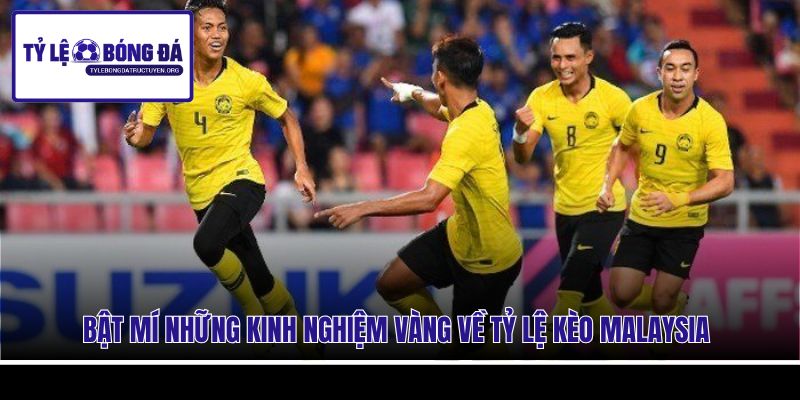 Bật mí những kinh nghiệm vàng về tỷ lệ kèo Malaysia