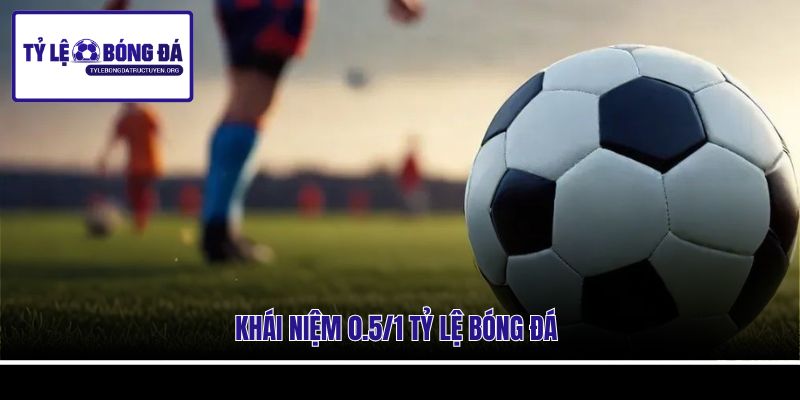 Khái niệm 0.5/1 tỷ lệ bóng đá
