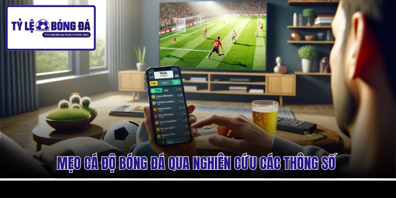 Mẹo cá độ bóng đá qua nghiên cứu các thông số