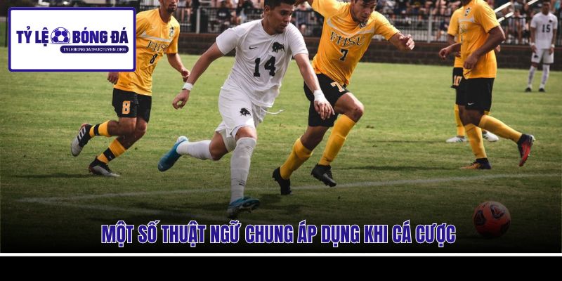 Một số thuật ngữ chung áp dụng khi cá cược