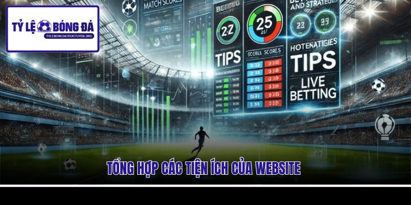 Tổng hợp các tiện ích của website